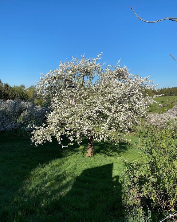 Klostergasthof Roggenburg